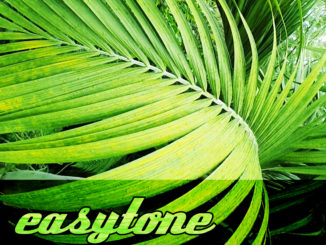 Easytone cover