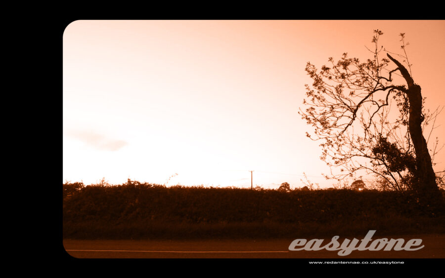 Easytone Tree Wallpaper 1280x1024
